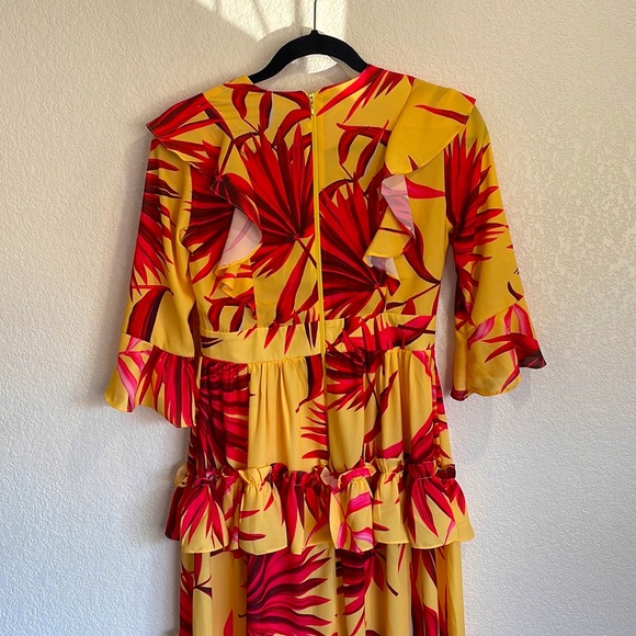 Pepita Perez Botanical Dress - Picture 3 of 5